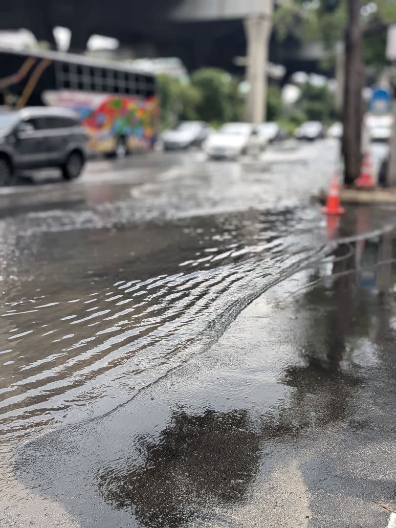 【専用】タイのお守りプラクルアンッ！猫だ！キャット！幸運のお守り！！結構古そう…