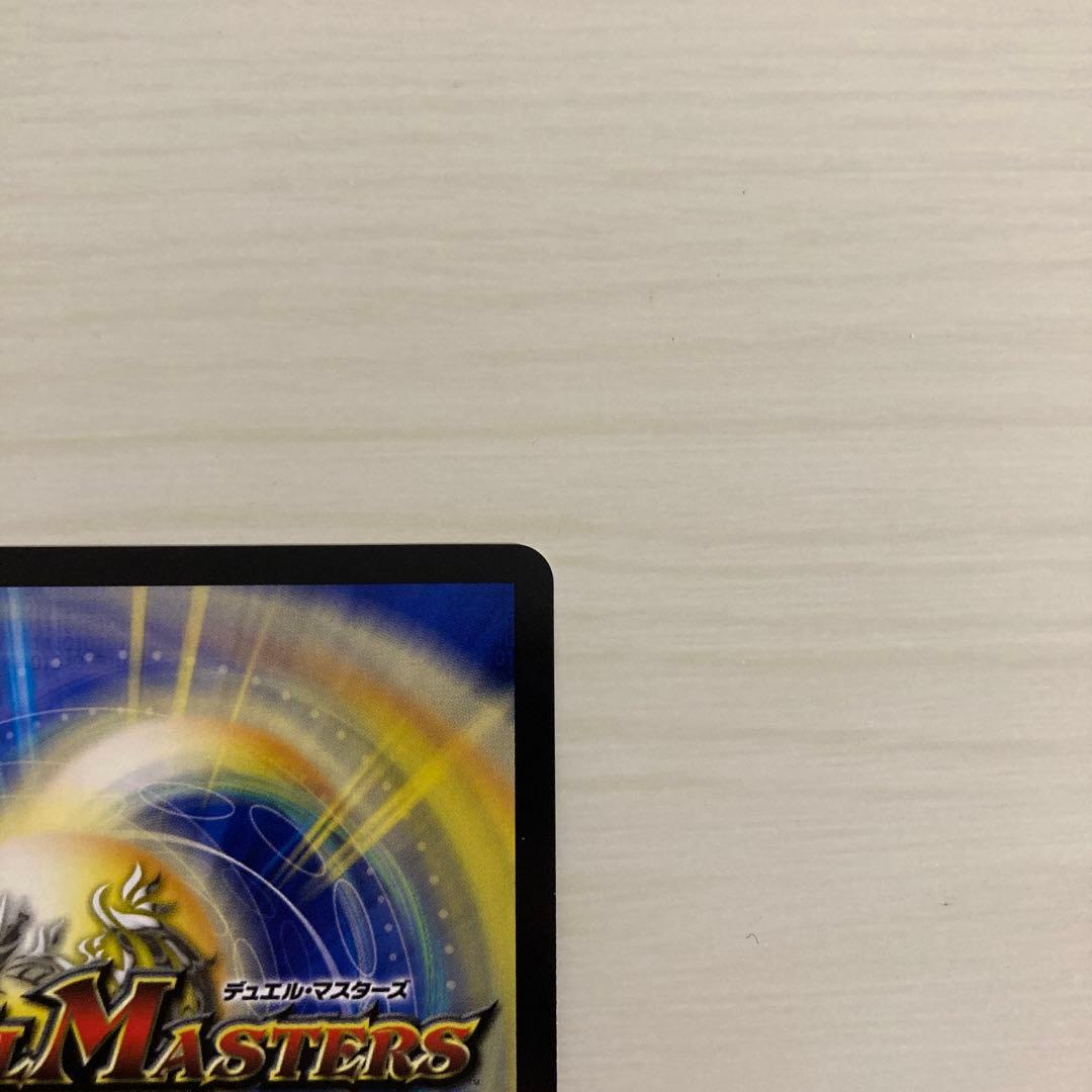 メルカリ便 聖霊超王 Hアルカディアス 秘 シク シークレット