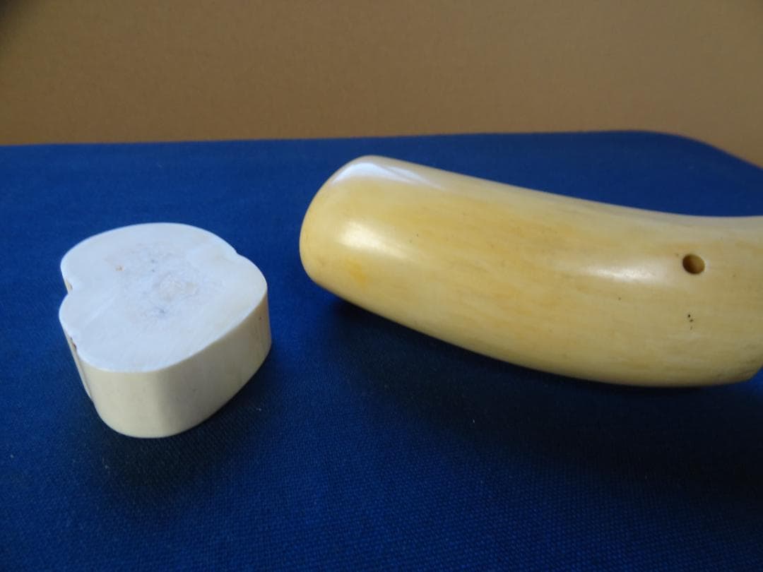 クジラ歯　セイウチ牙　海象　輪切　牙材　天然素材　希少