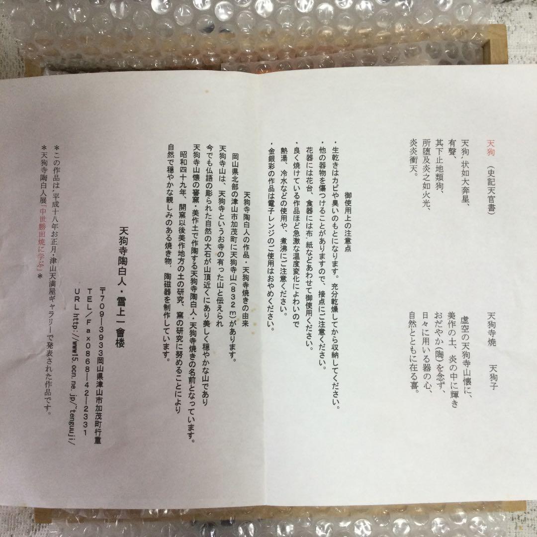 希少　絵皿　脚本家「高橋玄洋」さんと天狗寺「陶白人」のコラボ作品