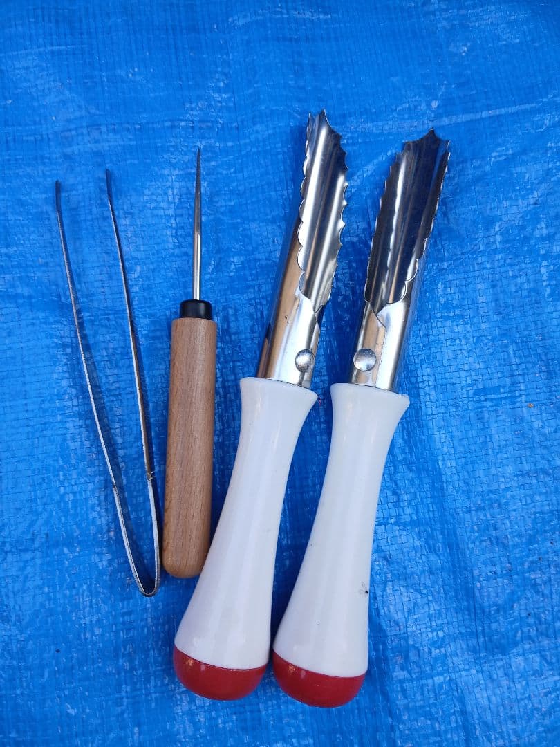 硬質クリアボトル、ボトルコンテナーなど幼虫飼育セット