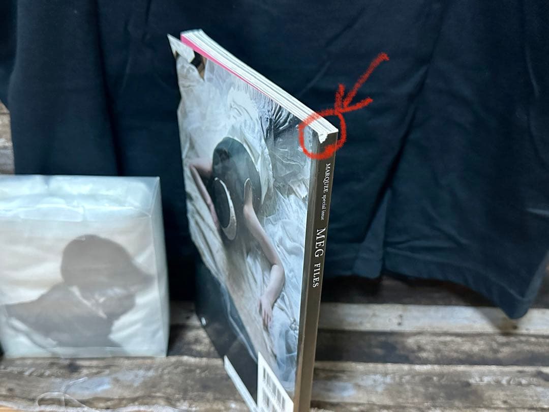 【4/10値下げ】【未使用】MEGメグ fisheye エヴァT カロリナ