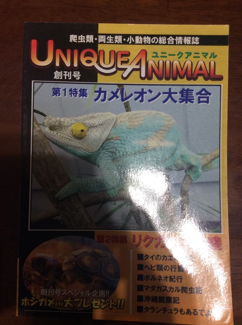 UNIQUE ANIMAL ユニークアニマル 創刊〜第8号 全8冊 東海メディア