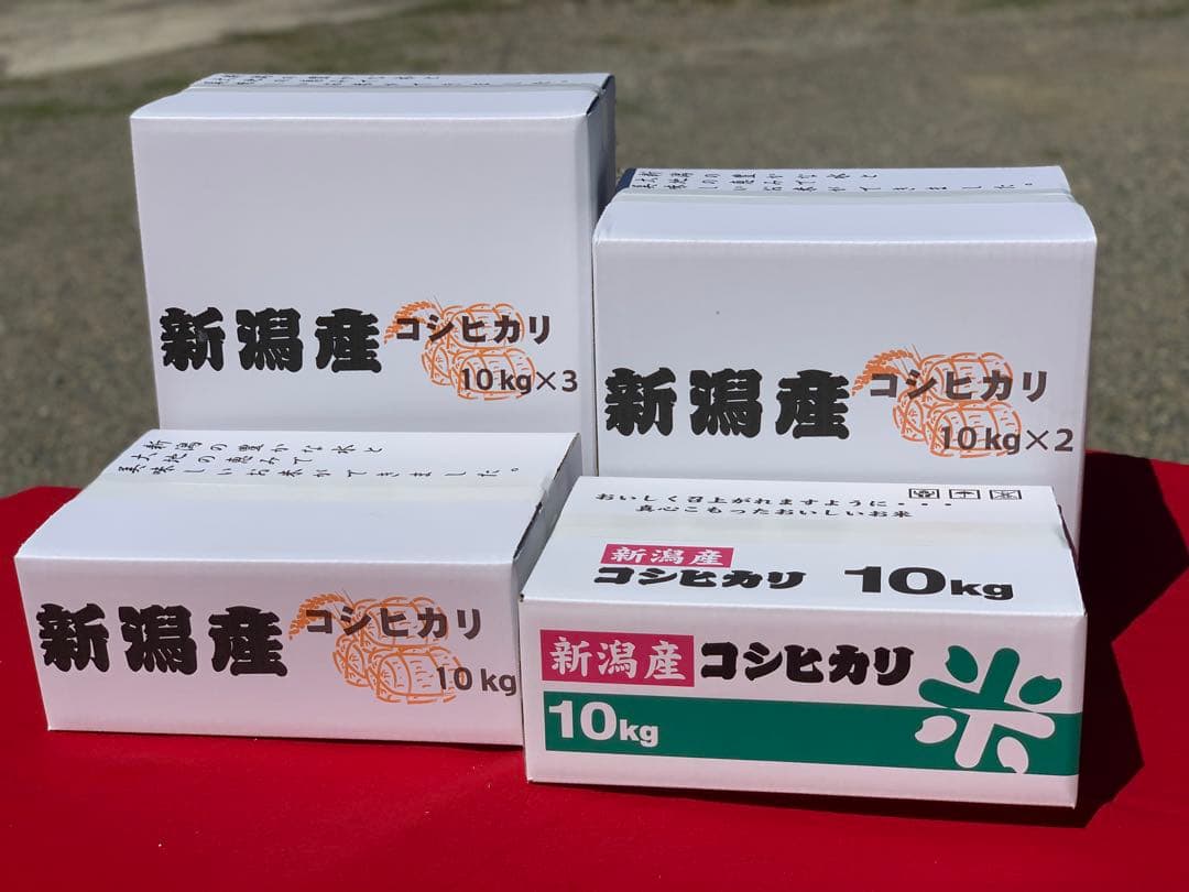 【無洗米】令和7年産　新潟　新之助　白米5kg × 2個★農家直送★色彩選別済