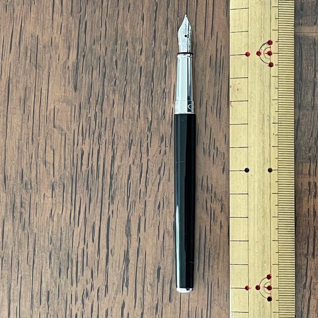 kzさま専用；CARAN d’ACHEマディソンⅡ万年筆