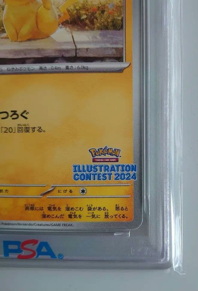 ピカチュウ 242/SV-P ILLUSTRATIONCONTES 2024