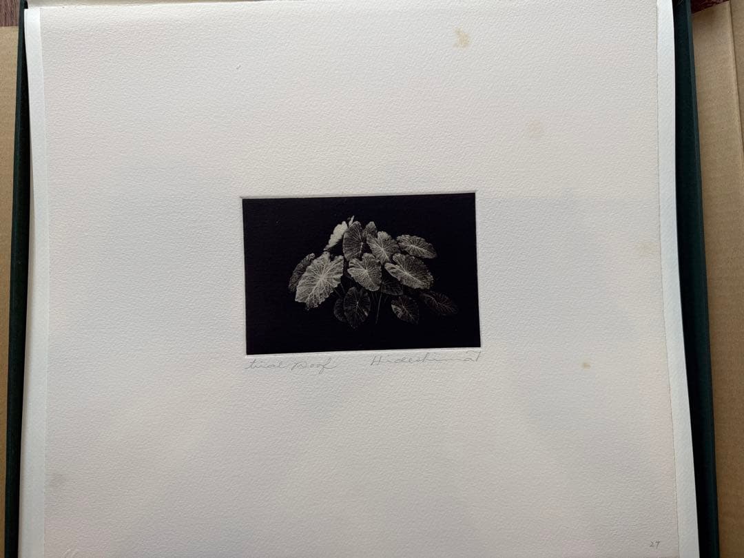 秀島由己男　版画集　春の城シリーズ　草の道