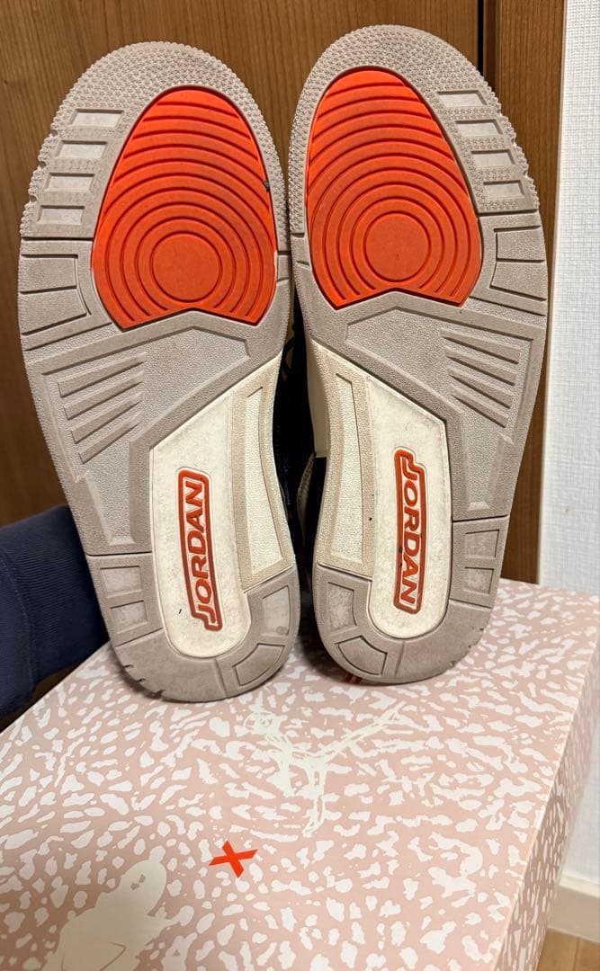 Air Jordan 3 レトロ エレファント/サファリ