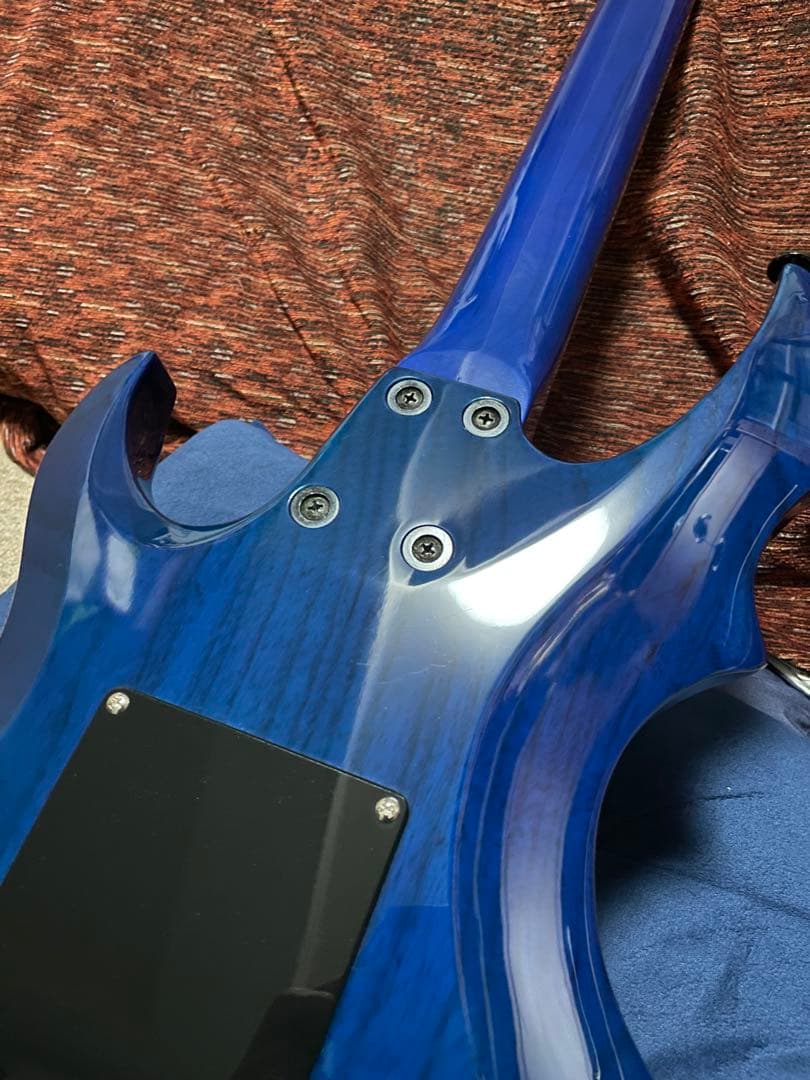 パンギト///グラスルーツ　フォレスト　ディマジオ&ダンカン