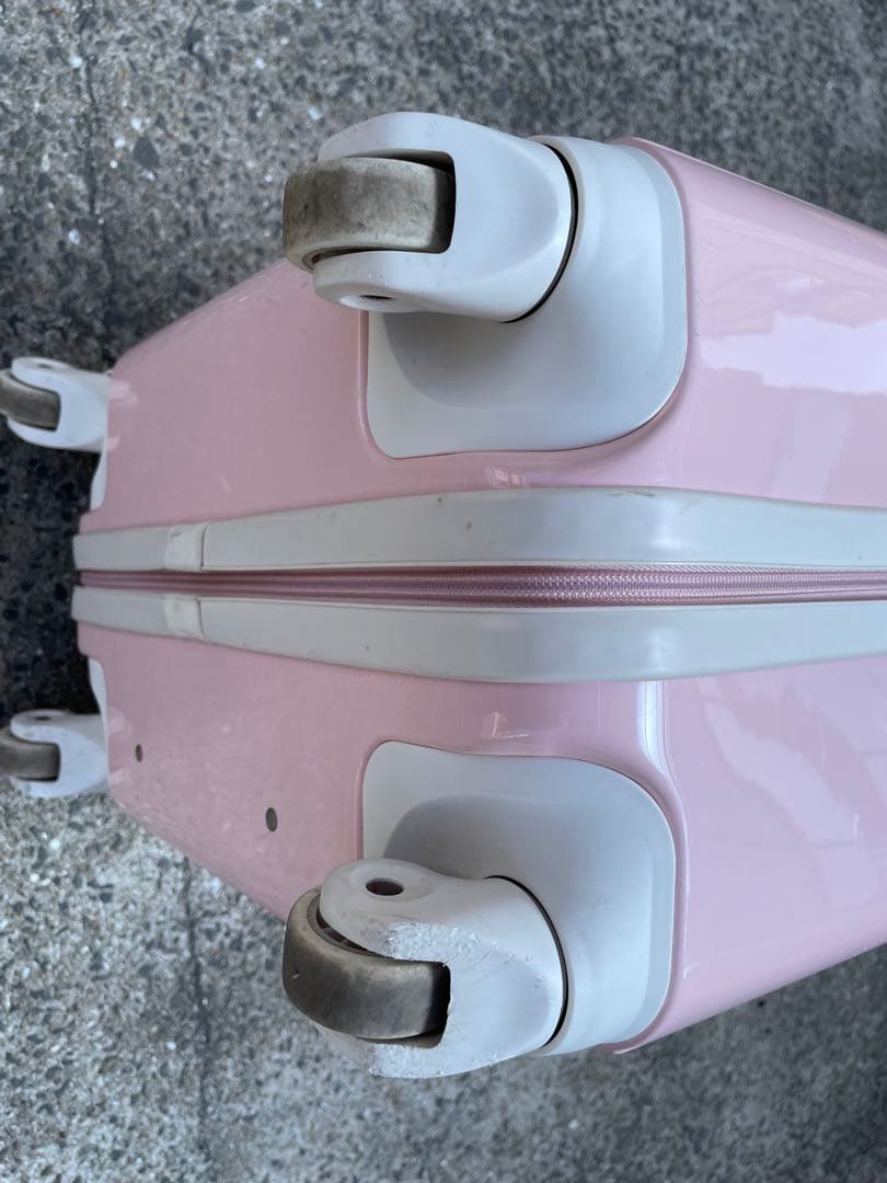 ミッキー＆ミニーのキャリーバッグ