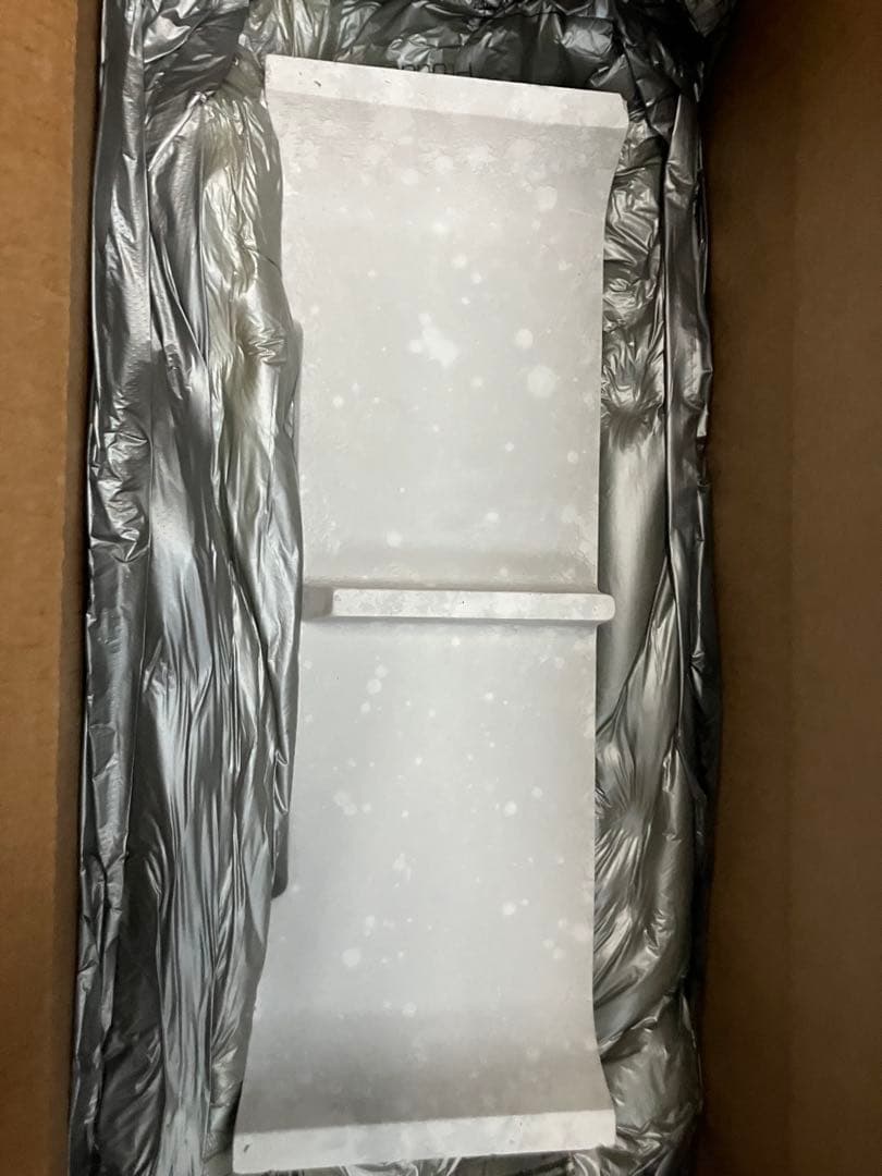 シャイニング出品