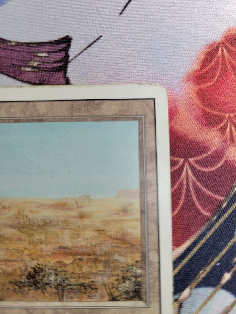 Scrubland　英語版　3ED　リバイズド　mtg