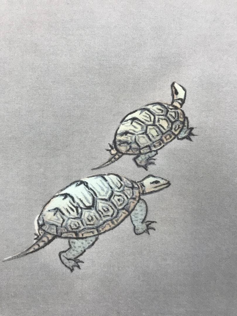 真作/西沢光宣/高砂之図/祝事掛/正月掛軸/掛軸☆宝船☆AH-604