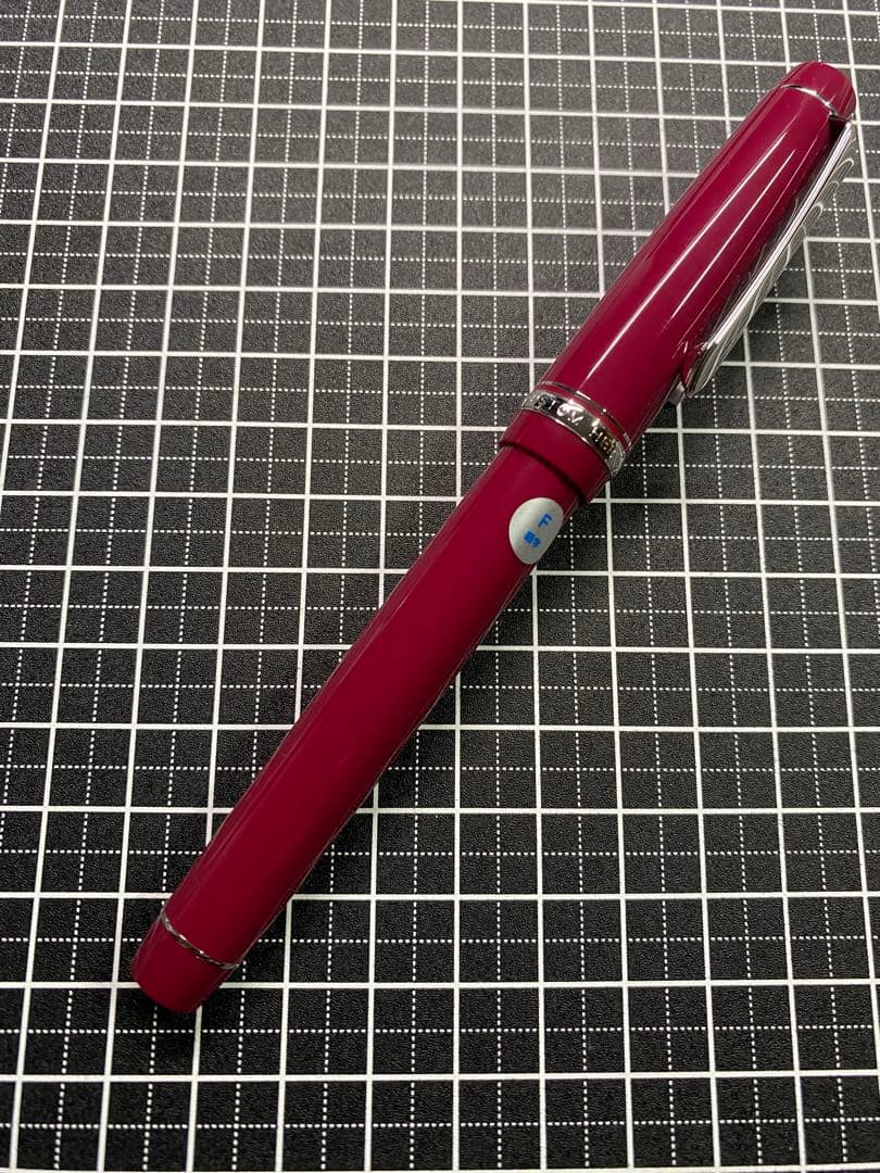 PILOT CUSTOM HERITAGE91 YAMABUDO 万年筆　字幅F