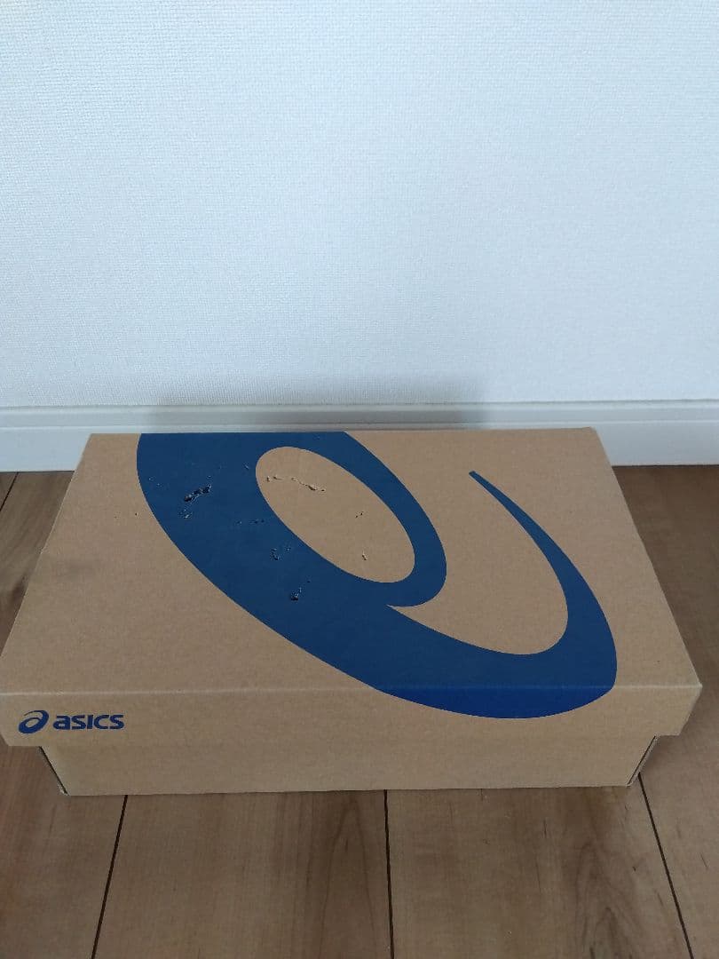 asics メタスピード sp 28.0cm