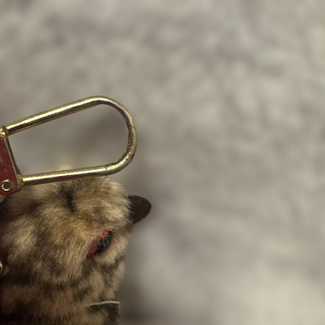 希少　タグ付　雷鳥のふる里 ぬいぐるみキーホルダー　レトロ