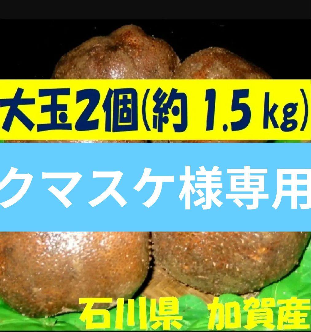 石川県 加賀丸いも 大玉２個&プレミアム 北海道 芋 1.5kg (2個)