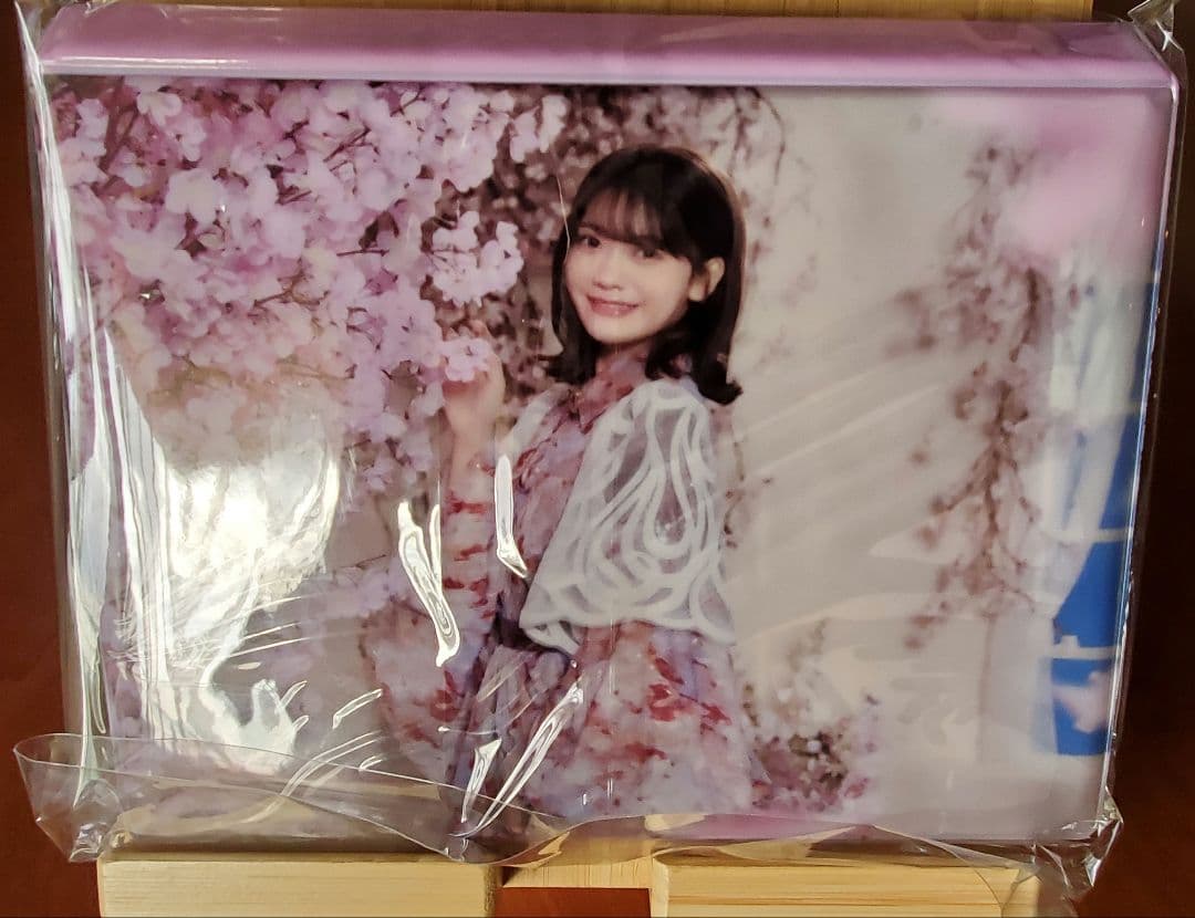 【PP未開封】乃木坂46 Rhythm Festival サイン入り証明書付き