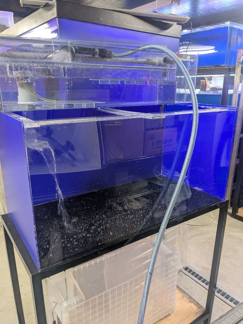 アジンガーZさま 専用