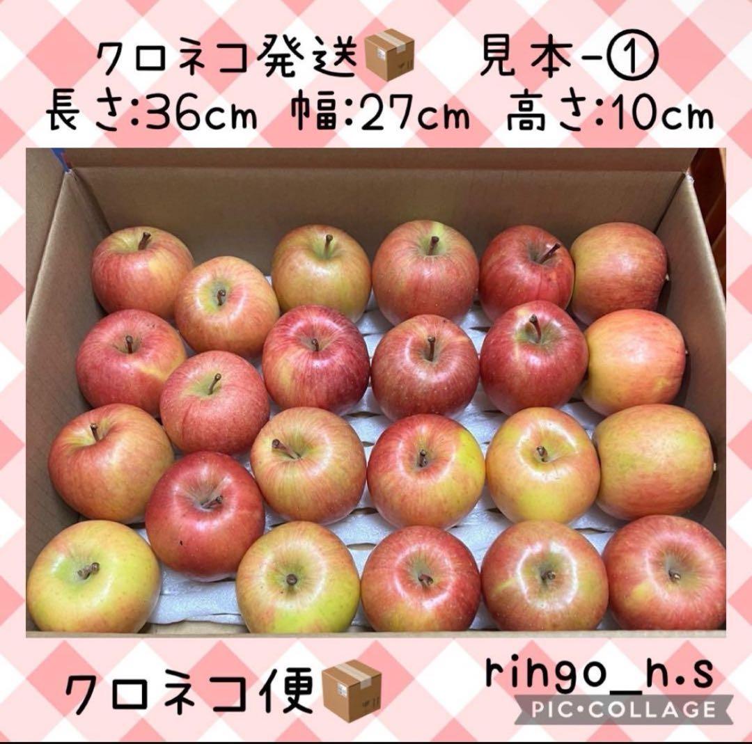 12/19発送 ◆特大箱◆ 幻の林檎　高徳　希少りんご　青森県産　クロネコ便