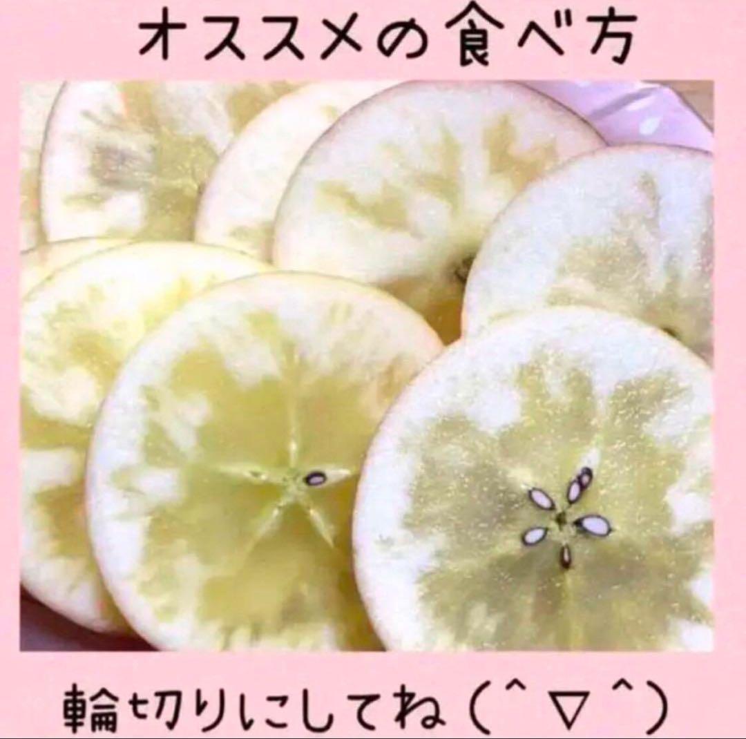 12/19発送 ◆特大箱◆ 幻の林檎　高徳　希少りんご　青森県産　クロネコ便