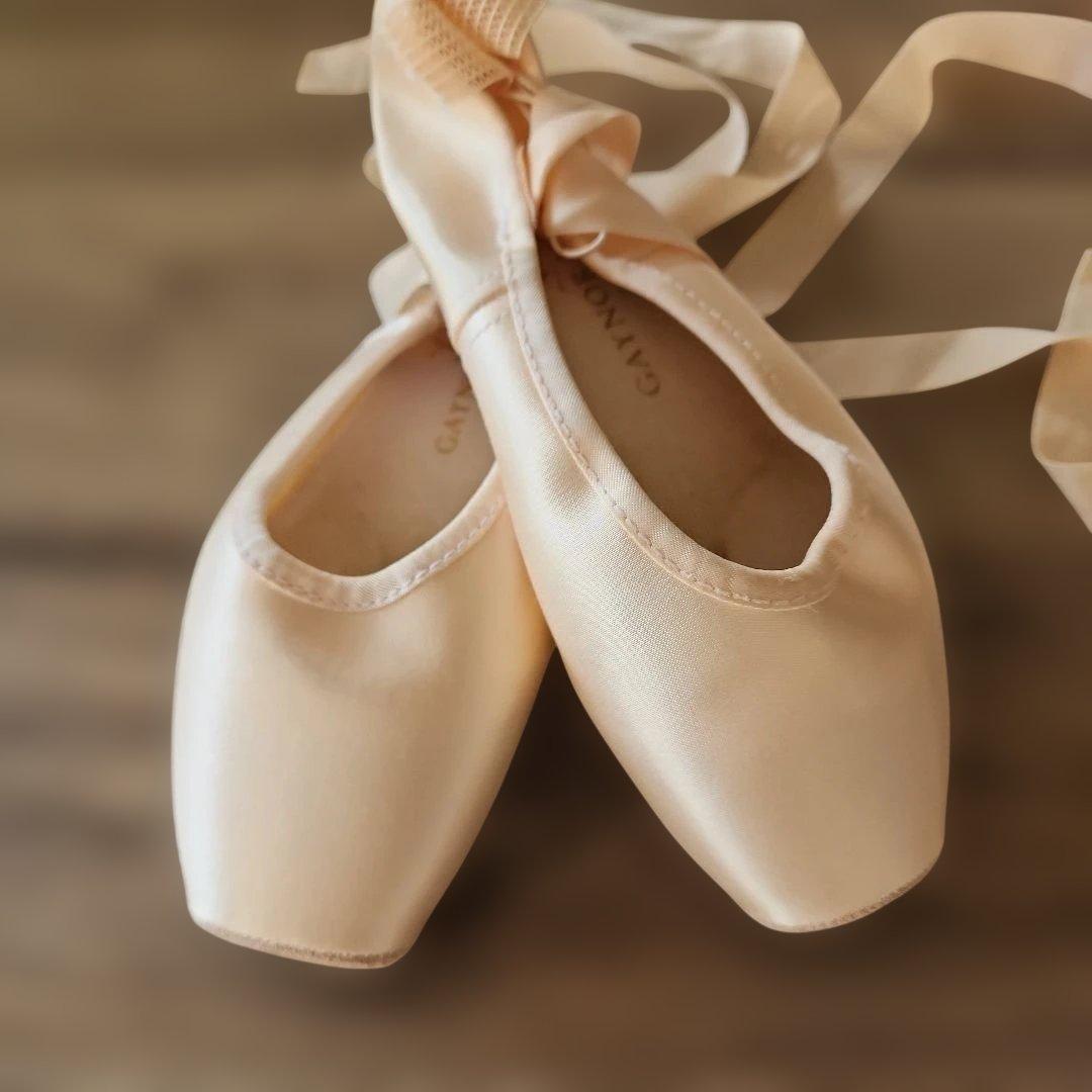 ゲイナーミンデン　トゥシューズ