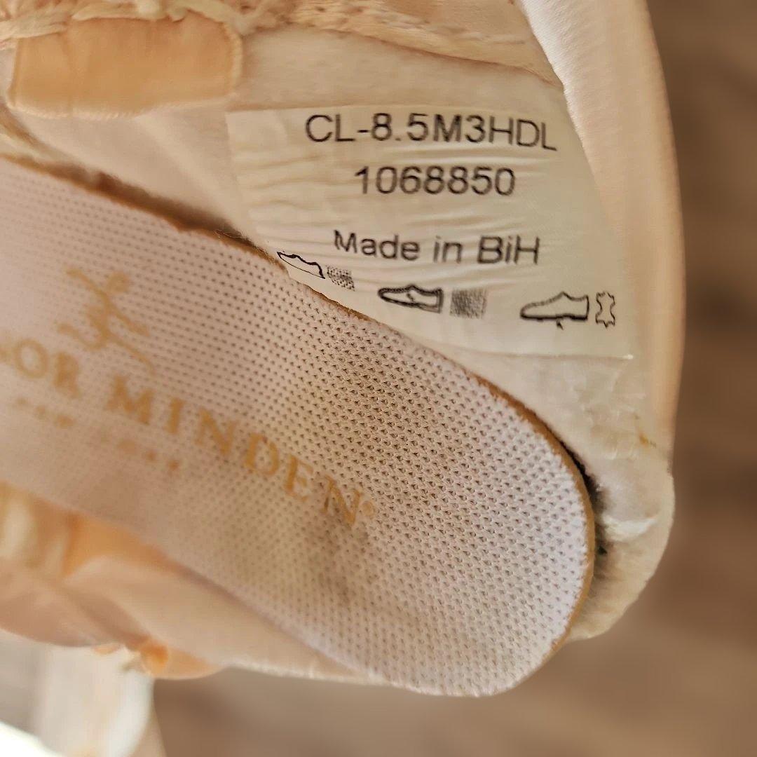 ゲイナーミンデン　トゥシューズ