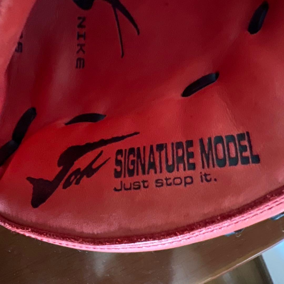 ナイキ 城島モデル キャッチャーミット 軟式 グラブ グローブ 大人用