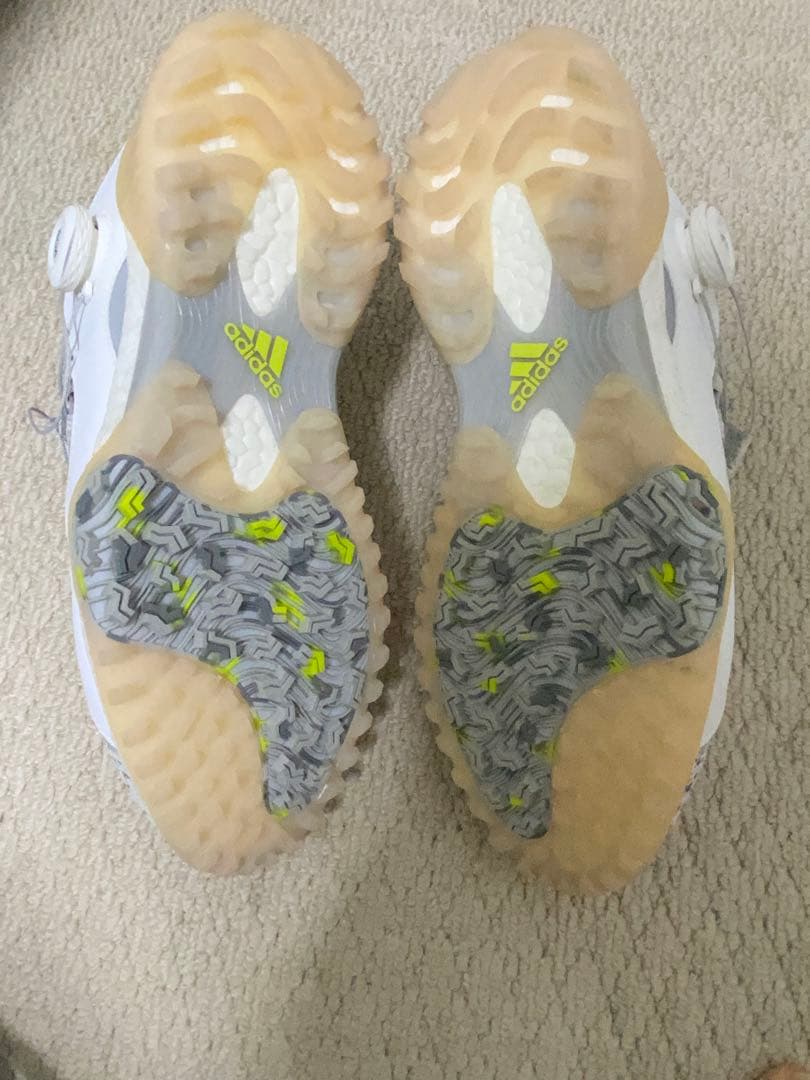 新品アディダスコードカオスボアゴルフシューズ 　グローブ付