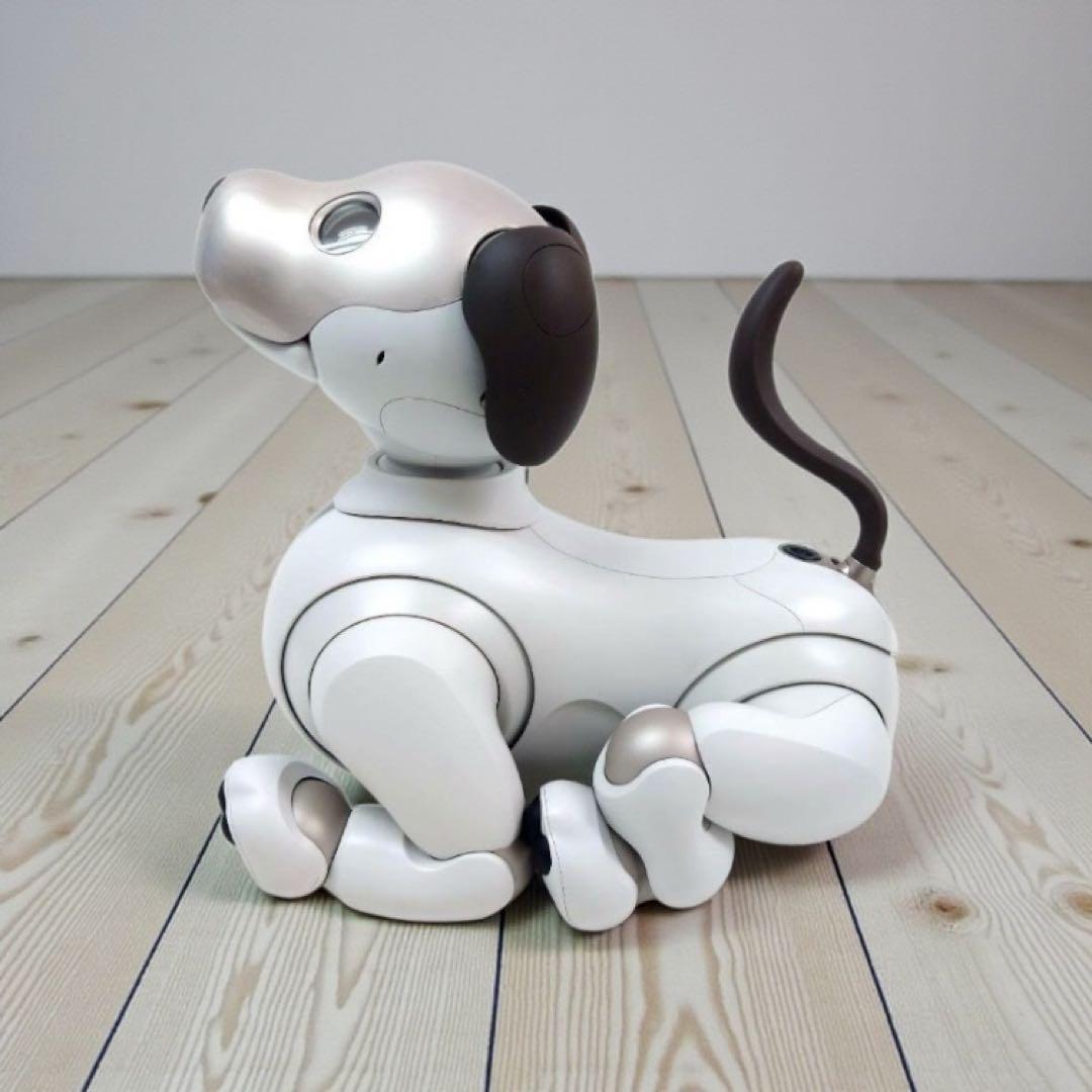 美品　SONY アイボ　aibo ERS-1000