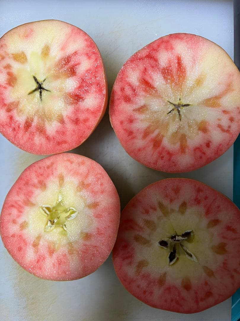 さくら出品ムーンルージュ