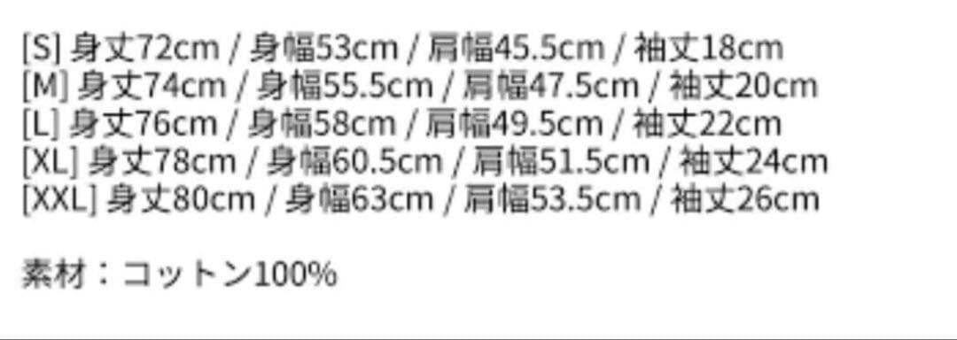 Lady Gaga 踊るか死ぬか 日本限定版Tシャツ Sサイズ