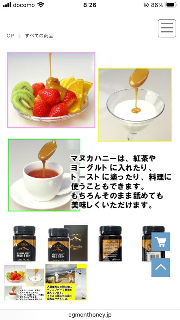 ✳︎Egmont Manuka Honey✳︎MGO515+ 250g×2