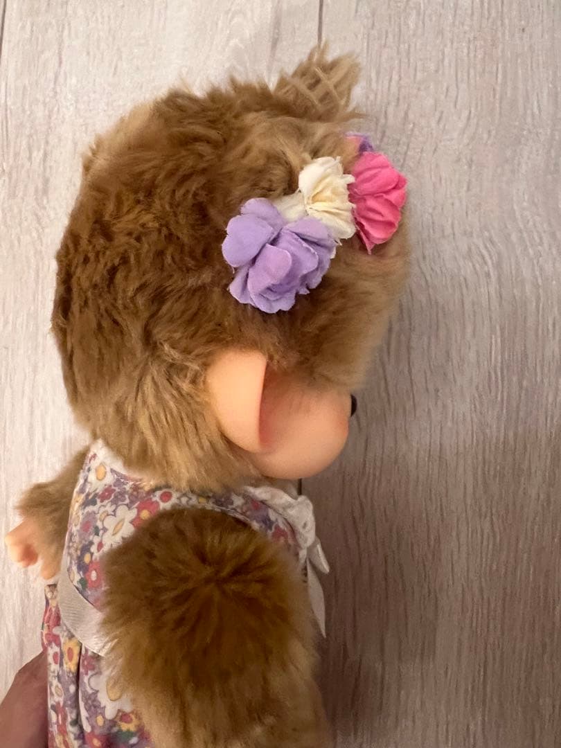 池田エライザプロデュース CanCam×モンチッチコラボ Mサイズ キャンキャン