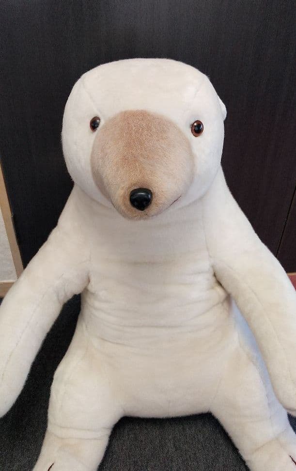 デンマーク生まれの大きい白熊クン