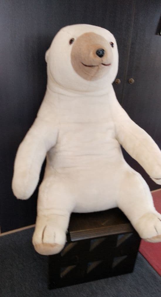 デンマーク生まれの大きい白熊クン