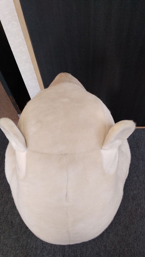 デンマーク生まれの大きい白熊クン