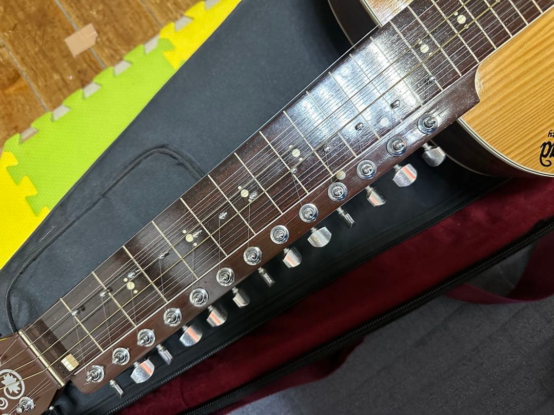 インド楽器 モハーンヴィーナ　Mohan Veena アコースティックギター