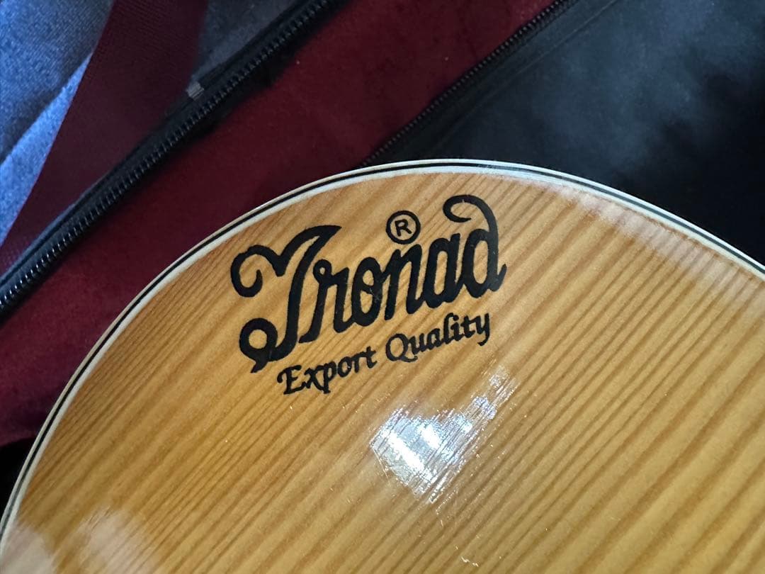 インド楽器 モハーンヴィーナ　Mohan Veena アコースティックギター