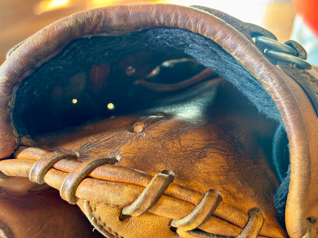 ドナイヤ 硬式 キャッチャーミット