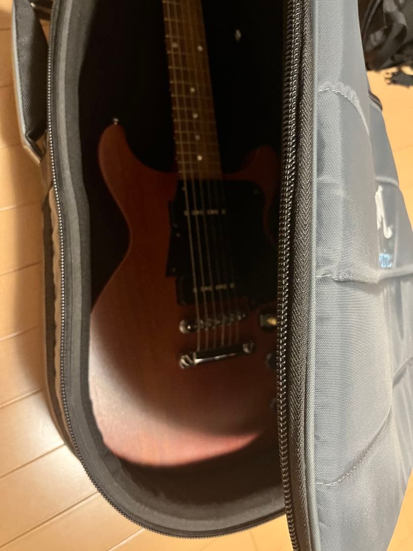 ギター Gibson Les Paul Special DC USA P-90