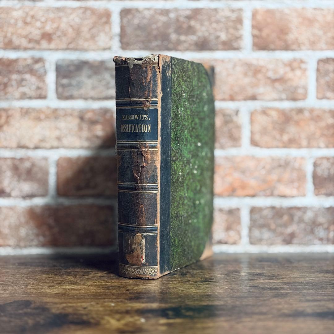 古い革装丁の洋書【5set】 古書　アンティーク ゴールド装飾　インテリア