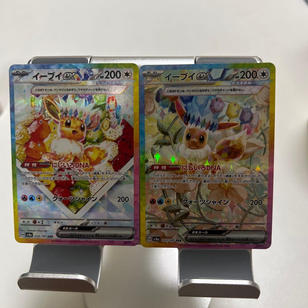 イーブイSAR2種類