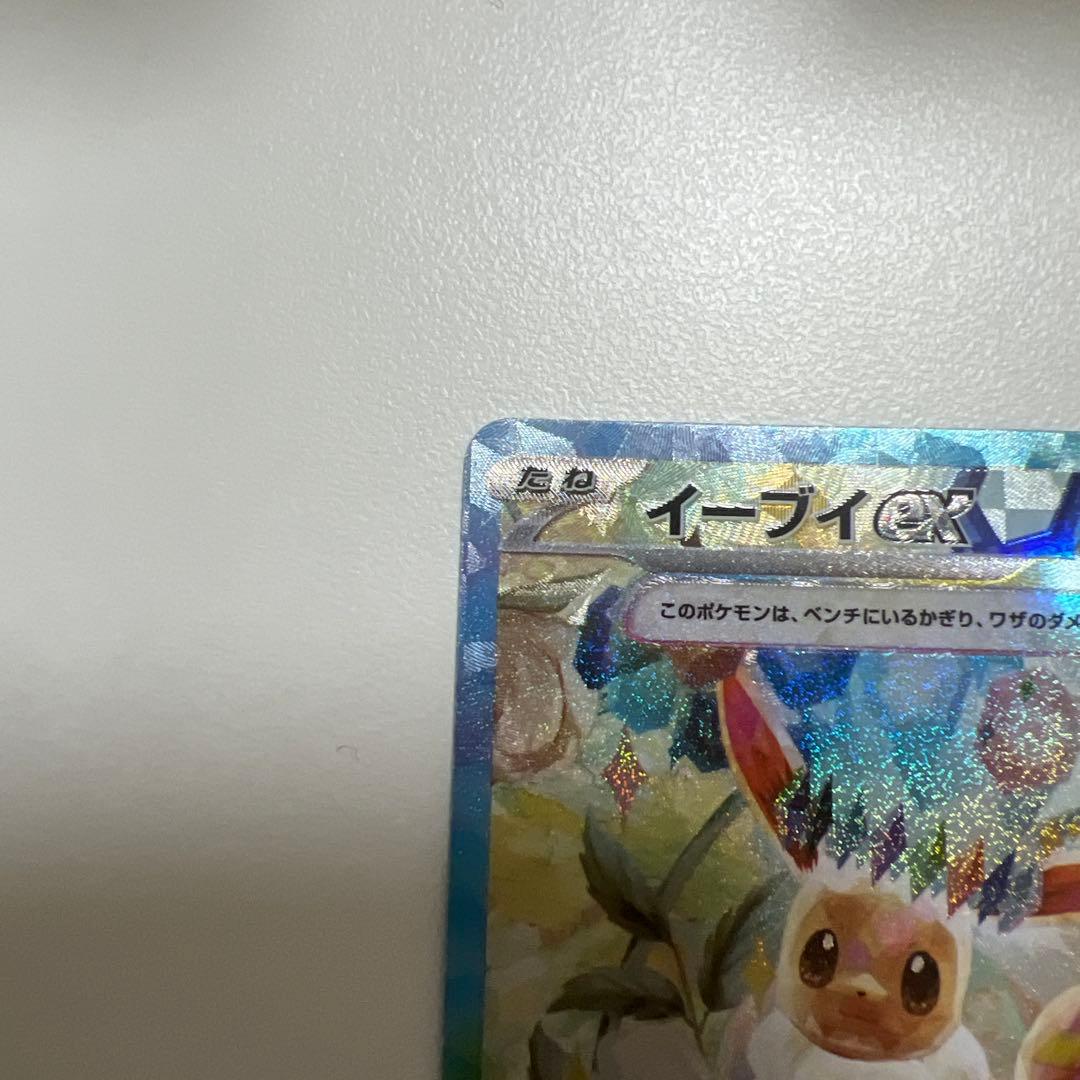 イーブイSAR2種類