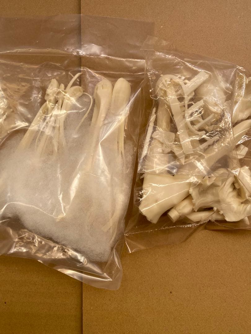 鬼龍院皐月 鮮血 ver キルラキル ガレージキット 植物少女園 石長櫻子