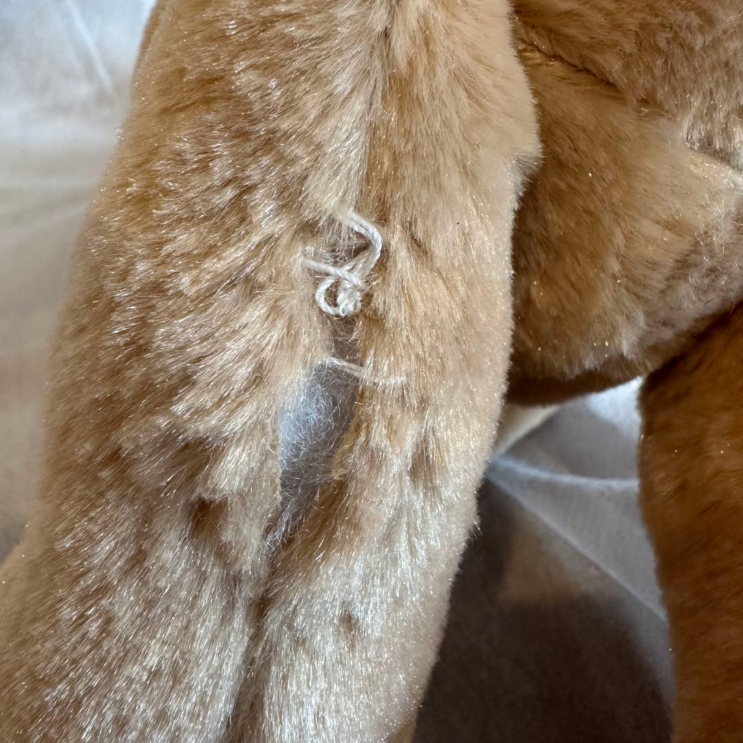 【正規品】 canal4°C ヨンドシー ぬいぐるみ オルゴール くま