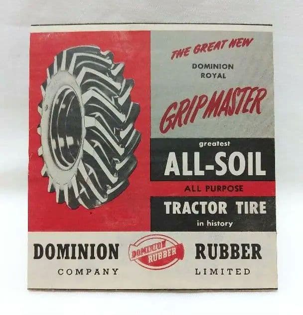 ペンギン ドミニオンペンギン❤︎世界唯一見られるDOMINION PENGUIN