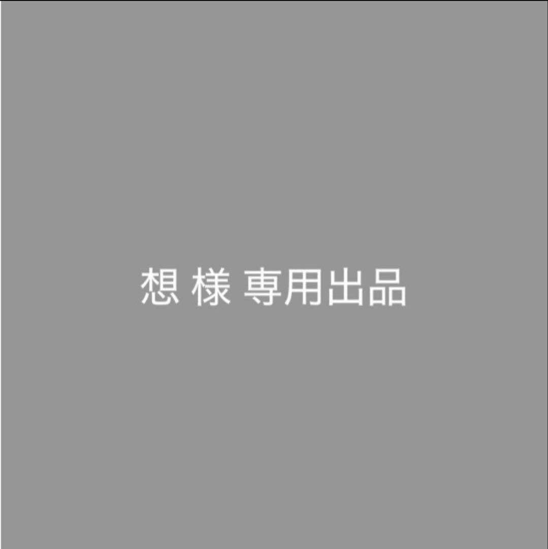 想（プロフィールを念の為ご確認下さい）様 リクエスト 2点 まとめ商品