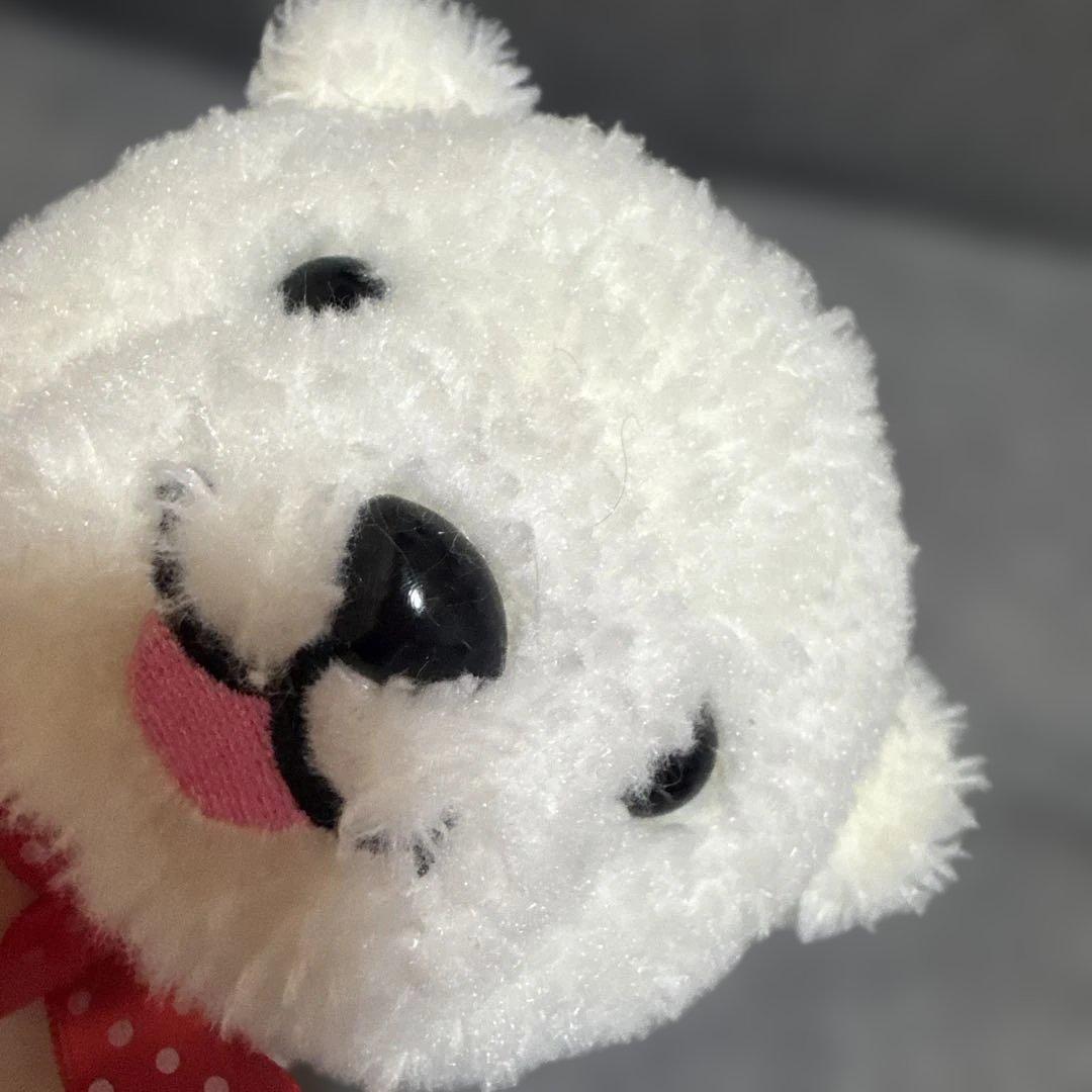 しろくま　アカシアちゃん　ぬいぐるみ（コロルくんの妹）北海道　赤リボン