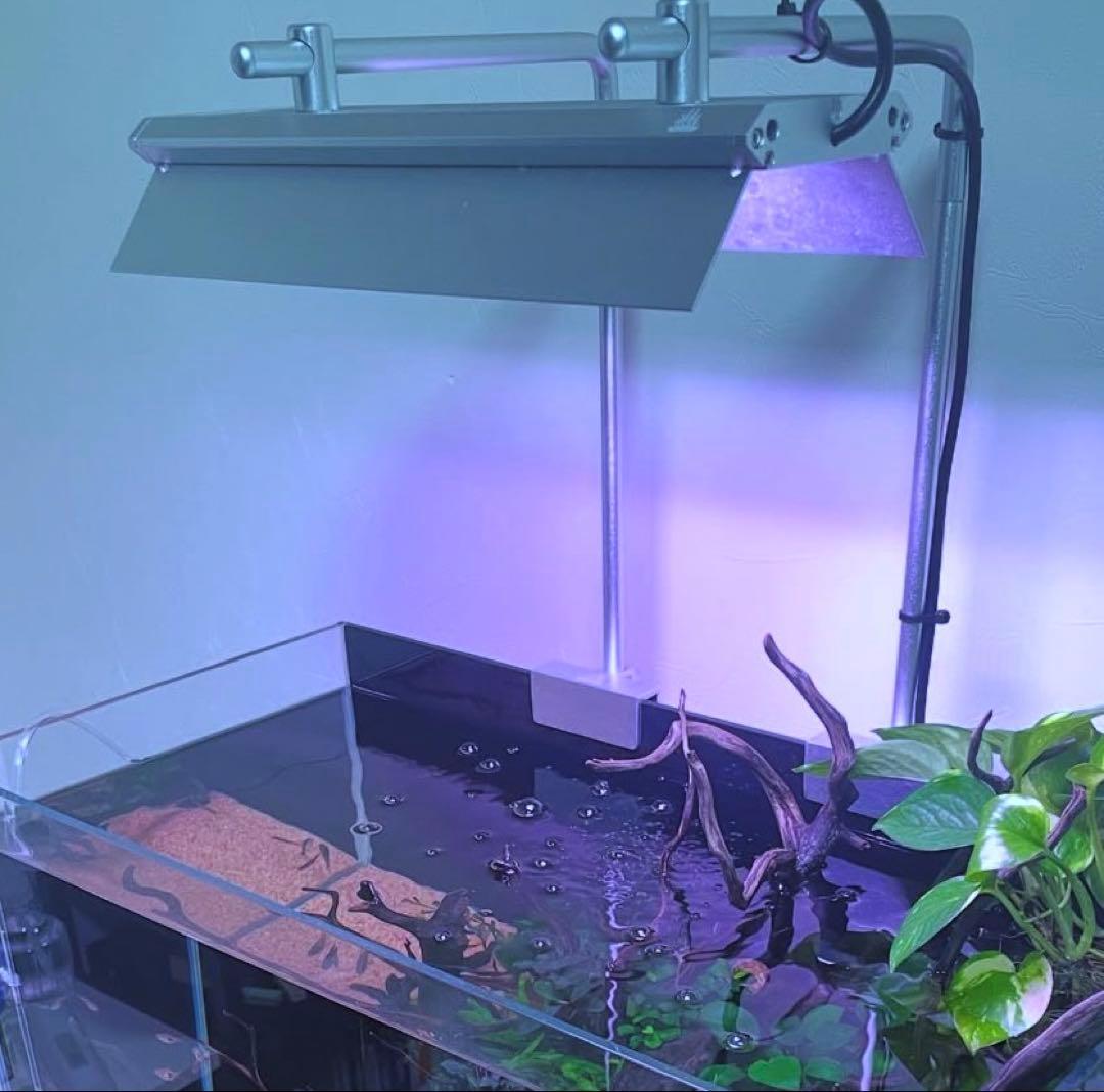 WBBK AQUA RGBライト スタンド付き　フルセット